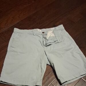 GAP Light Blue Men's Casual Shorts